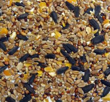 Wild Bird Seed Mix 5Kg Bucket