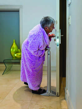 Security Doorstopper