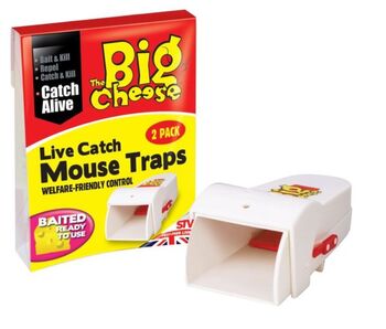 Big Cheese Live Catch Mouse Trap 2Pk