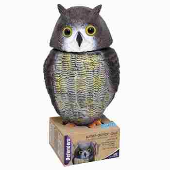 Big Cheese Wind-Action Owl Decoy