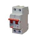 100A Dp Isolator