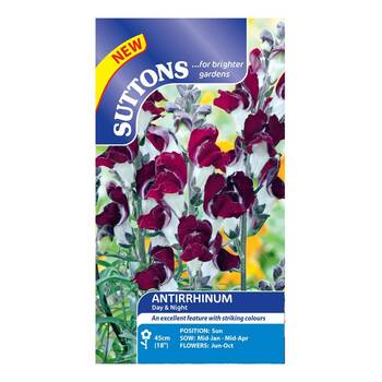 Suttons Antirrhinum Day & Night