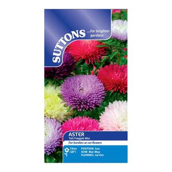 Suttons Aster Tall Fraggle Mix