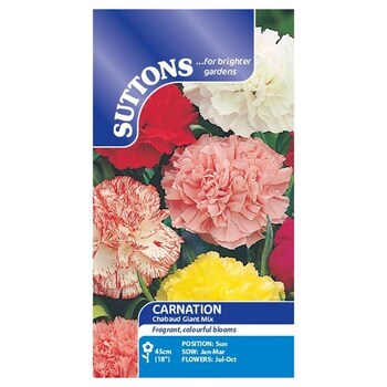 Suttons Carnation Chabaud Giant Mix