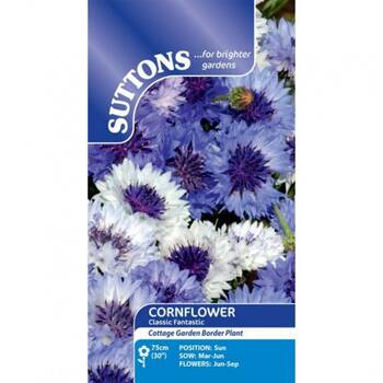 Suttons Cornflower Classic Fantastic