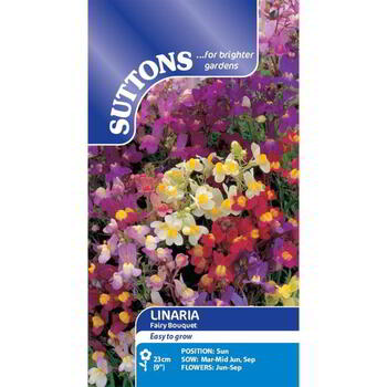 Suttons Linaria Fairy Bouquet