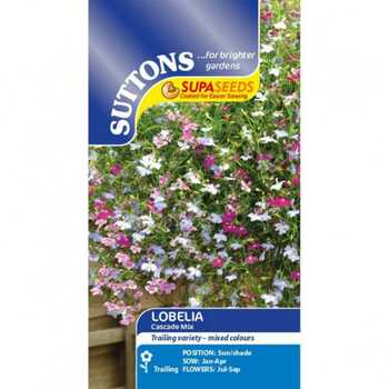 Suttons Lobelia Supacoat Cascade Mix