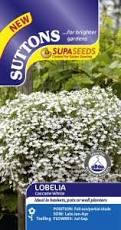 Seeds Suttons Lobelia Supacoat Cascade White