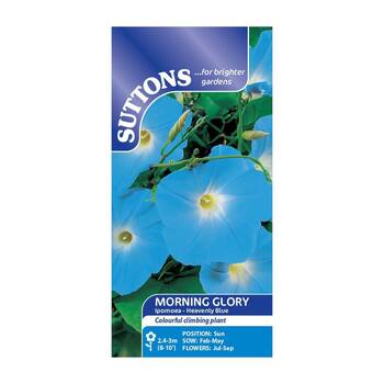 Suttons Morning Glory Ipomoea Heavenly Blue