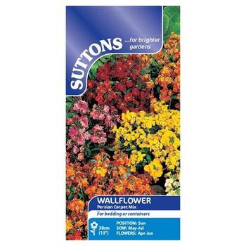 Seeds Suttons Wallflower Persian Carpet