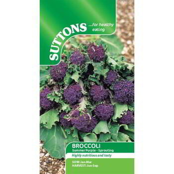Suttons Broccoli Purple Sprouting