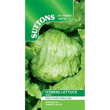 Suttons Lettuce Iceberg Match