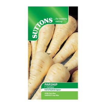 Suttons Parsnip Gladiator F1