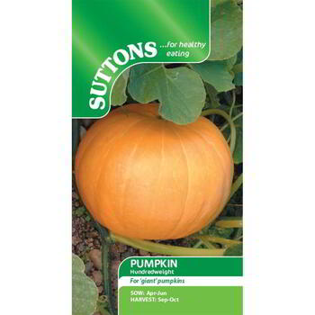Suttons Pumpkin Hundredweight