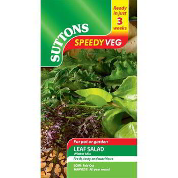 Suttons Speedy Veg Leaf Salad Winter Mix