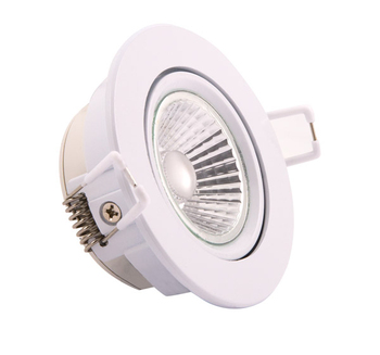 Ark 6W Adjustable D/Light White