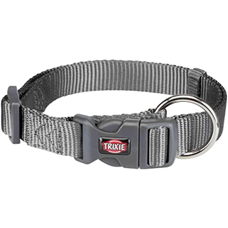 Premium Black Collar M-L 35-55Cm X 20mm