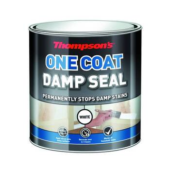 Thompsons 250Ml One Coat Damp Seal