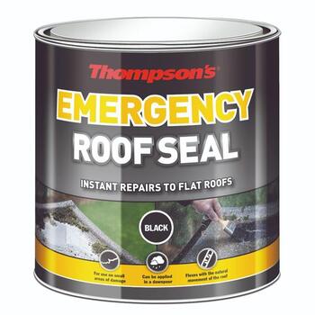 Thompsons 2.5lt Emergency Roof Seal