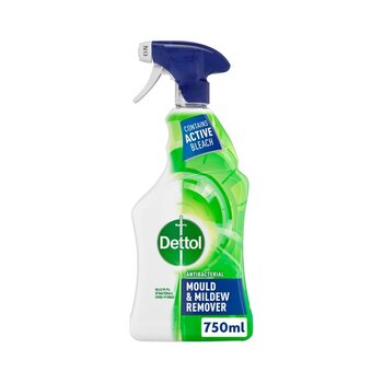 Dettol Mould + Mildew Spray 750Ml