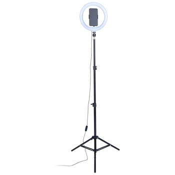 Intempo Sync Standing Selfie Light 1.6M