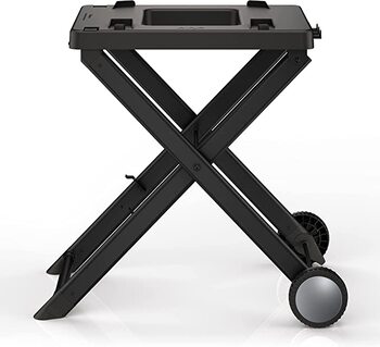 Ninja Woodfire Electric Bbq Grill Stand